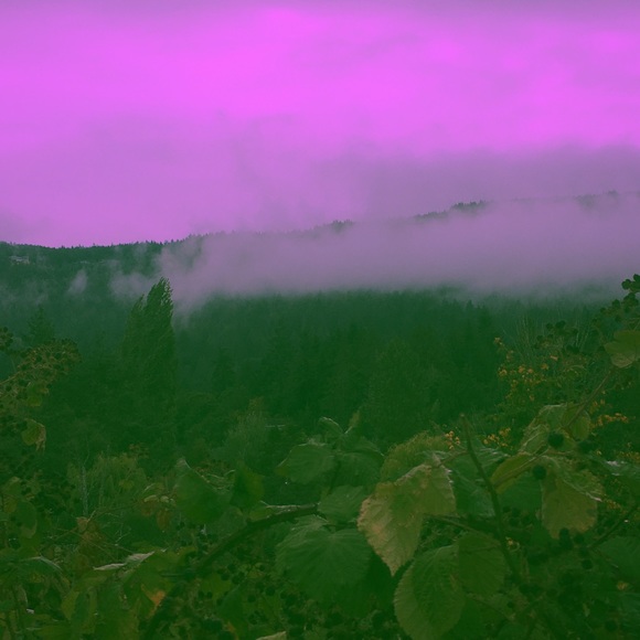 Meet your Posher, Rhye - Picture 3 of 3